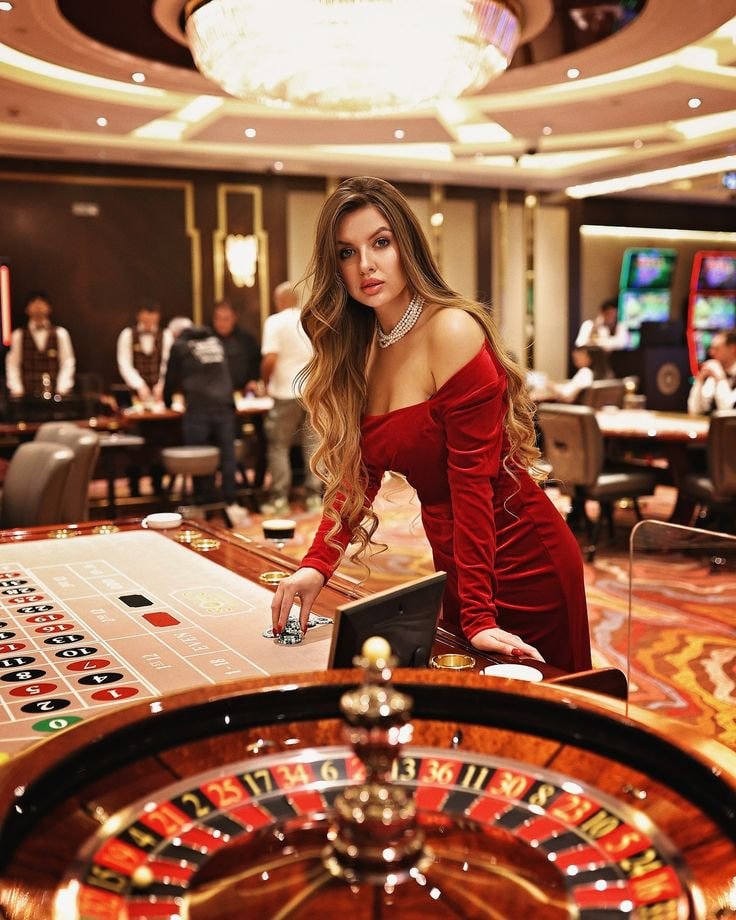 56d bet com